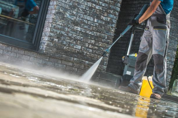 Animal Enclosure Cleaning in Brookfield, IL